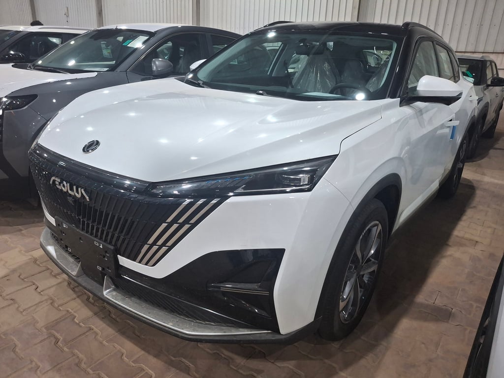 Dongfeng Mage 2025