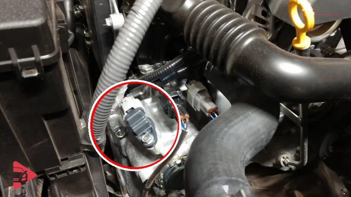 موقع حساس الكرنك