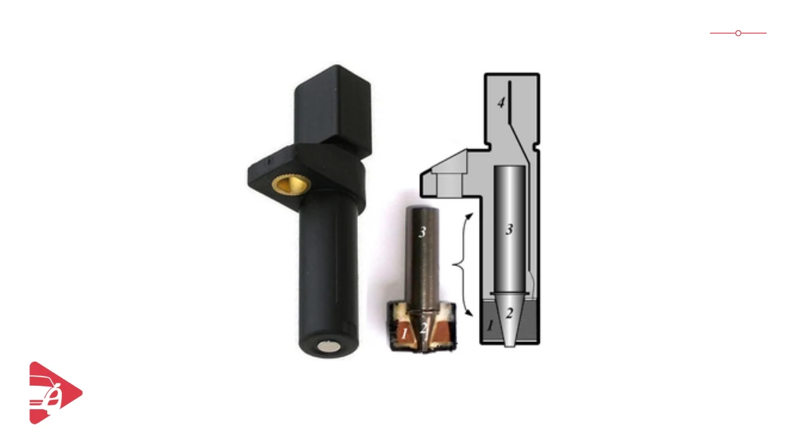 وظائف حساس الكرنك