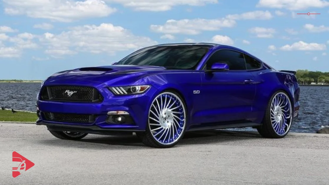 سيارة جديدة أم مستعملة