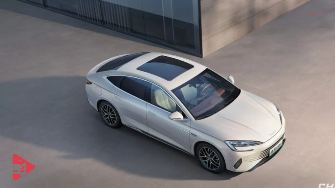 بي واي دي سيل 7 2025