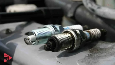 علامات تلف البواجي