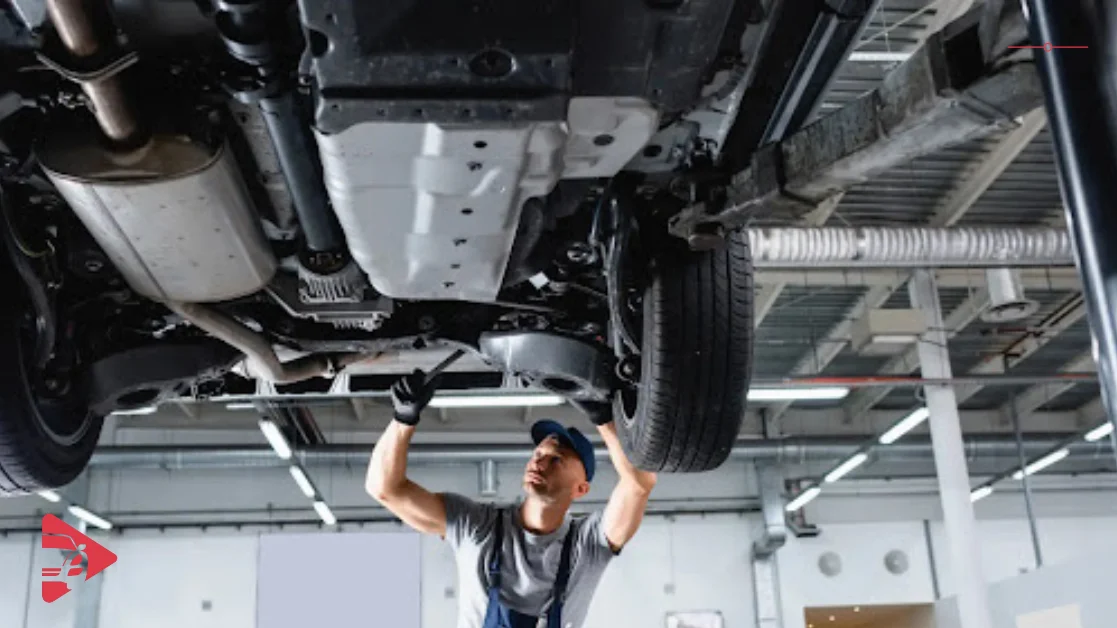 سلامة الهيكل