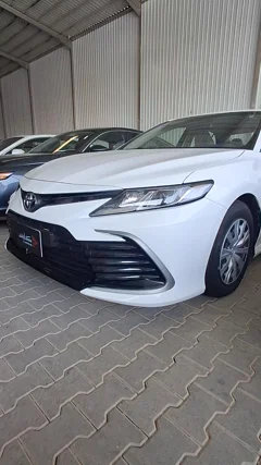 شاهد الفيديو