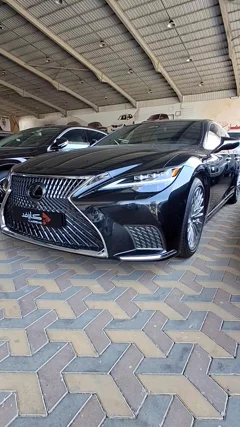 شاهد الفيديو