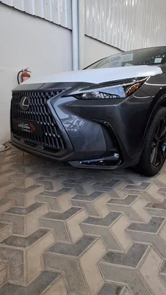 Watch Video