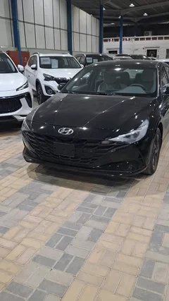 Hyundai Elantra fleet 2023