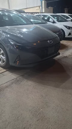 Hyundai Elantra fleet 2022