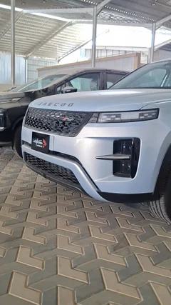 شاهد الفيديو