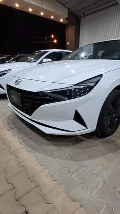 Hyundai Elantra fleet 2023