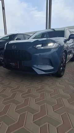 شاهد الفيديو