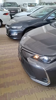 Toyota Corolla xli 2023