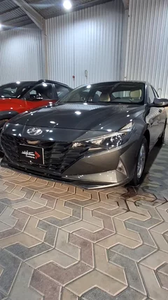 Hyundai Elantra fleet 2021