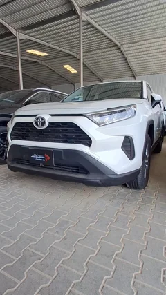 شاهد الفيديو