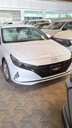Hyundai Elantra fleet 2023