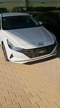 Hyundai Elantra fleet 2023
