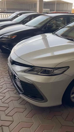 شاهد الفيديو