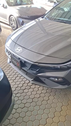 Hyundai Elantra fleet 2024