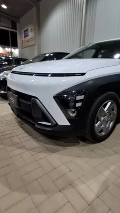 Hyundai Kona fleet 2024