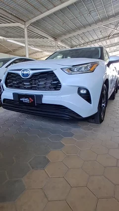 شاهد الفيديو