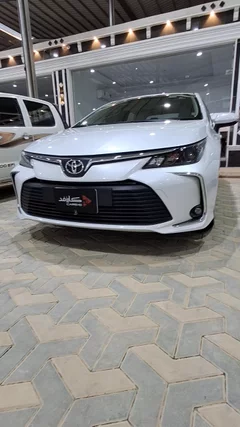 شاهد الفيديو