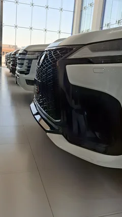 Watch Video