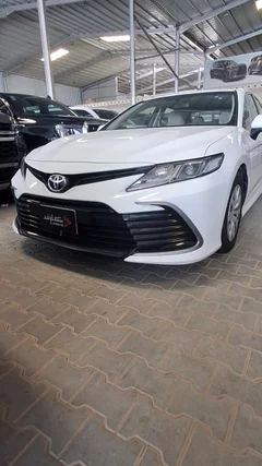 شاهد الفيديو