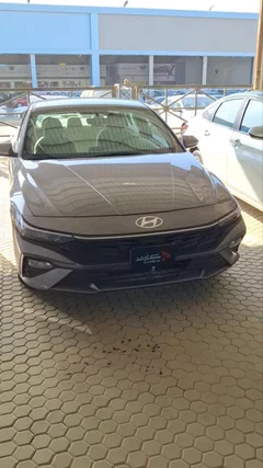 Hyundai Elantra fleet 2024