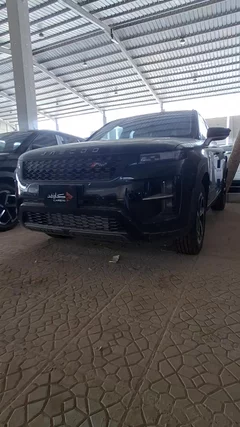 شاهد الفيديو