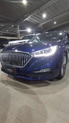 Hongqi H5 Luxury 2024