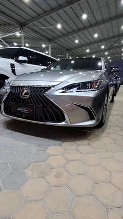 شاهد الفيديو