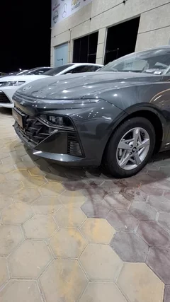 Hyundai Accent FLEET  2026