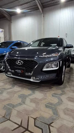 Hyundai Kona fleet 2020