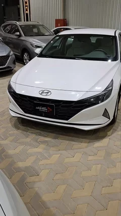 Hyundai Elantra fleet 2023