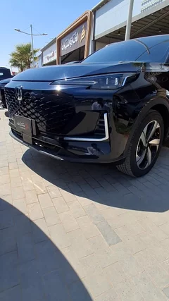 Watch Video