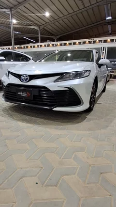 شاهد الفيديو