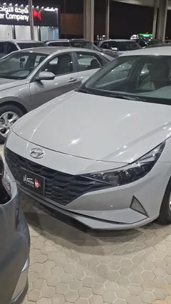 Hyundai Elantra fleet 2023