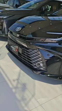 شاهد الفيديو