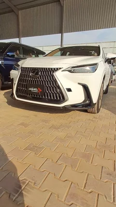شاهد الفيديو