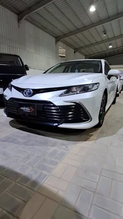 شاهد الفيديو