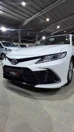 شاهد الفيديو
