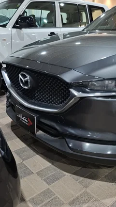 شاهد الفيديو