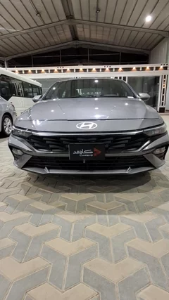 Hyundai Elantra fleet 2024